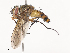  ( - CBG-A41790-H02)  @11 [ ] CreativeCommons - Attribution Share - Alike (2024) CBG Photography Group Centre for Biodiversity Genomics