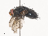  ( - CBG-A41790-H03)  @11 [ ] CreativeCommons - Attribution Share - Alike (2024) CBG Photography Group Centre for Biodiversity Genomics