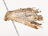  ( - CBG-A41791-F12)  @11 [ ] CreativeCommons - Attribution Share - Alike (2024) CBG Photography Group Centre for Biodiversity Genomics