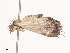  ( - CBG-A41791-G01)  @11 [ ] CreativeCommons - Attribution Share - Alike (2024) CBG Photography Group Centre for Biodiversity Genomics