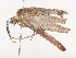  ( - CBG-A41791-H03)  @11 [ ] CreativeCommons - Attribution Share - Alike (2024) CBG Photography Group Centre for Biodiversity Genomics