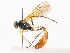  ( - CBG-A41792-E12)  @11 [ ] CreativeCommons - Attribution Share - Alike (2024) CBG Photography Group Centre for Biodiversity Genomics