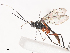  ( - CBG-A41792-F05)  @11 [ ] CreativeCommons - Attribution Share - Alike (2024) CBG Photography Group Centre for Biodiversity Genomics