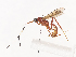  ( - CBG-A41792-G04)  @11 [ ] CreativeCommons - Attribution Share - Alike (2024) CBG Photography Group Centre for Biodiversity Genomics