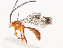  ( - CBG-A41792-G07)  @11 [ ] CreativeCommons - Attribution Share - Alike (2024) CBG Photography Group Centre for Biodiversity Genomics