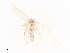  ( - CBG-A41905-B06)  @11 [ ] CreativeCommons - Attribution Share - Alike (2024) CBG Photography Group Centre for Biodiversity Genomics