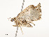  ( - CBG-A51969-F05)  @11 [ ] CreativeCommons - Attribution Share - Alike (2024) CBG Photography Group Centre for Biodiversity Genomics