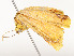  ( - CBG-A54421-E01)  @11 [ ] CreativeCommons - Attribution Share - Alike (2024) CBG Photography Group Centre for Biodiversity Genomics