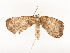  ( - CBG-A54422-C01)  @11 [ ] CreativeCommons - Attribution Share - Alike (2024) CBG Photography Group Centre for Biodiversity Genomics