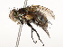  ( - CBG-A54422-G10)  @11 [ ] CreativeCommons - Attribution Share - Alike (2024) CBG Photography Group Centre for Biodiversity Genomics