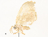  ( - CBG-A54423-F09)  @11 [ ] CreativeCommons - Attribution Share-Alike (2024) CBG Photography Group Centre for Biodiversity Genomics