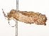  ( - CBG-A54423-G06)  @11 [ ] CreativeCommons - Attribution Share-Alike (2024) CBG Photography Group Centre for Biodiversity Genomics