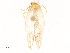  ( - CBG-A54423-G10)  @11 [ ] CreativeCommons - Attribution Share-Alike (2024) CBG Photography Group Centre for Biodiversity Genomics