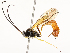  ( - CBG-A54429-C05)  @11 [ ] CreativeCommons - Attribution Share - Alike (2024) CBG Photography Group Centre for Biodiversity Genomics