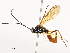  ( - CBG-A54429-D01)  @11 [ ] CreativeCommons - Attribution Share - Alike (2024) CBG Photography Group Centre for Biodiversity Genomics