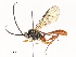  ( - CBG-A54430-G01)  @11 [ ] CreativeCommons - Attribution Share - Alike (2024) CBG Photography Group Centre for Biodiversity Genomics