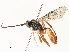  ( - CBG-A54430-G08)  @11 [ ] CreativeCommons - Attribution Share - Alike (2024) CBG Photography Group Centre for Biodiversity Genomics