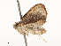  ( - CBG-A54432-E05)  @11 [ ] CreativeCommons - Attribution Share - Alike (2024) CBG Photography Group Centre for Biodiversity Genomics