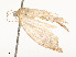  ( - CBG-A54432-E06)  @11 [ ] CreativeCommons - Attribution Share - Alike (2024) CBG Photography Group Centre for Biodiversity Genomics