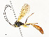  ( - CBG-A54437-A06)  @11 [ ] CreativeCommons - Attribution Share - Alike (2024) CBG Photography Group Centre for Biodiversity Genomics