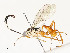  ( - CBG-A54437-A09)  @11 [ ] CreativeCommons - Attribution Share - Alike (2024) CBG Photography Group Centre for Biodiversity Genomics