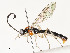  ( - CBG-A54437-A10)  @11 [ ] CreativeCommons - Attribution Share - Alike (2024) CBG Photography Group Centre for Biodiversity Genomics