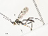  ( - CBG-A54437-A11)  @11 [ ] CreativeCommons - Attribution Share - Alike (2024) CBG Photography Group Centre for Biodiversity Genomics