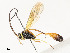  ( - CBG-A54437-B03)  @11 [ ] CreativeCommons - Attribution Share - Alike (2024) CBG Photography Group Centre for Biodiversity Genomics