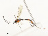  ( - CBG-A54440-F09)  @11 [ ] CreativeCommons - Attribution Share - Alike (2024) CBG Photography Group Centre for Biodiversity Genomics