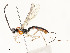  ( - CBG-A54440-F10)  @11 [ ] CreativeCommons - Attribution Share - Alike (2024) CBG Photography Group Centre for Biodiversity Genomics
