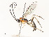  ( - CBG-A54440-H08)  @11 [ ] CreativeCommons - Attribution Share - Alike (2024) CBG Photography Group Centre for Biodiversity Genomics