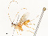  ( - CBG-A54440-H10)  @11 [ ] CreativeCommons - Attribution Share - Alike (2024) CBG Photography Group Centre for Biodiversity Genomics