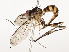  ( - CBG-A54475-A11)  @11 [ ] CreativeCommons - Attribution Share - Alike (2024) CBG Photography Group Centre for Biodiversity Genomics