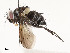  ( - CBG-A54475-C08)  @11 [ ] CreativeCommons - Attribution Share - Alike (2024) CBG Photography Group Centre for Biodiversity Genomics