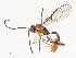  ( - CBG-A54476-C02)  @11 [ ] CreativeCommons - Attribution Share - Alike (2024) CBG Photography Group Centre for Biodiversity Genomics