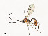  ( - CBG-A54476-D03)  @11 [ ] CreativeCommons - Attribution Share - Alike (2024) CBG Photography Group Centre for Biodiversity Genomics