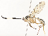  ( - CBG-A54478-H06)  @11 [ ] CreativeCommons - Attribution Share - Alike (2024) CBG Photography Group Centre for Biodiversity Genomics