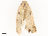  ( - CBG-A54479-E05)  @11 [ ] CreativeCommons - Attribution Share - Alike (2024) CBG Photography Group Centre for Biodiversity Genomics