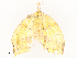  ( - CBG-A54479-E09)  @11 [ ] CreativeCommons - Attribution Share - Alike (2024) CBG Photography Group Centre for Biodiversity Genomics