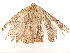  ( - CBG-A54479-F04)  @11 [ ] CreativeCommons - Attribution Share - Alike (2024) CBG Photography Group Centre for Biodiversity Genomics