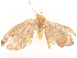  ( - CBG-A54479-F07)  @11 [ ] CreativeCommons - Attribution Share - Alike (2024) CBG Photography Group Centre for Biodiversity Genomics