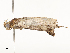  ( - CBG-A54479-G06)  @11 [ ] CreativeCommons - Attribution Share - Alike (2024) CBG Photography Group Centre for Biodiversity Genomics