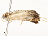  ( - CBG-A54479-G10)  @11 [ ] CreativeCommons - Attribution Share - Alike (2024) CBG Photography Group Centre for Biodiversity Genomics