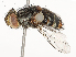  ( - CBG-A54480-D01)  @11 [ ] CreativeCommons - Attribution Share - Alike (2024) CBG Photography Group Centre for Biodiversity Genomics