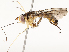  ( - CBG-A54480-H08)  @11 [ ] CreativeCommons - Attribution Share - Alike (2024) CBG Photography Group Centre for Biodiversity Genomics