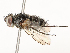  ( - CBG-A54480-H09)  @11 [ ] CreativeCommons - Attribution Share - Alike (2024) CBG Photography Group Centre for Biodiversity Genomics