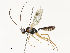  ( - CBG-A58553-A05)  @11 [ ] CreativeCommons - Attribution Share - Alike (2024) CBG Photography Group Centre for Biodiversity Genomics