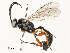  ( - CBG-A58553-A10)  @11 [ ] CreativeCommons - Attribution Share - Alike (2024) CBG Photography Group Centre for Biodiversity Genomics