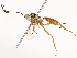  ( - CBG-A58553-B03)  @11 [ ] CreativeCommons - Attribution Share - Alike (2024) CBG Photography Group Centre for Biodiversity Genomics
