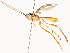  ( - CBG-A58553-C03)  @11 [ ] CreativeCommons - Attribution Share - Alike (2024) CBG Photography Group Centre for Biodiversity Genomics